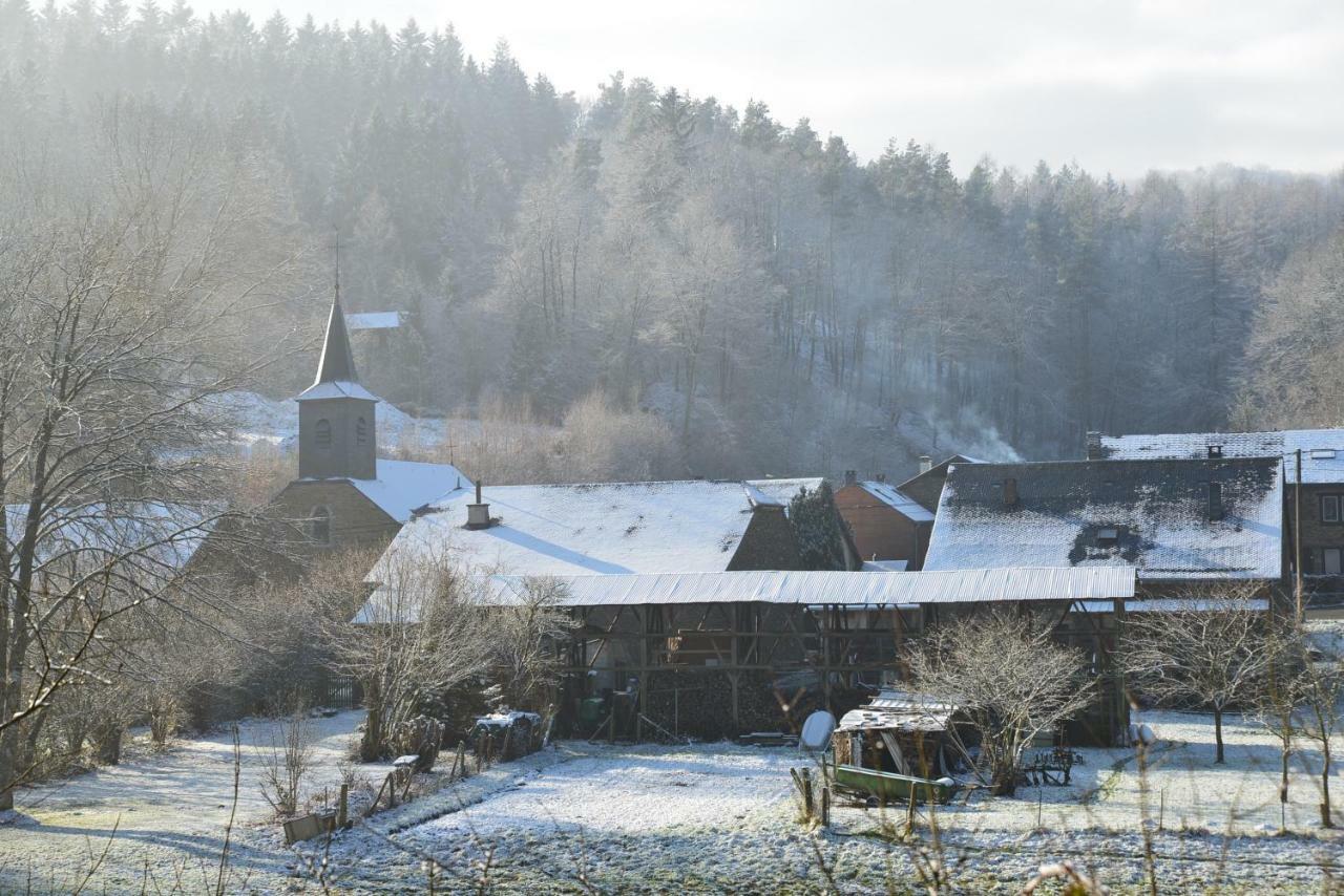 Gite La Truite A Mouzaive Vresse-sur-Semois Exteriér fotografie